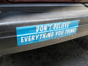 Don't Believe Everything You Think!