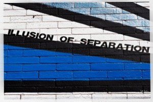Illusion of Separation