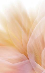 light-color-wallpaper-11408